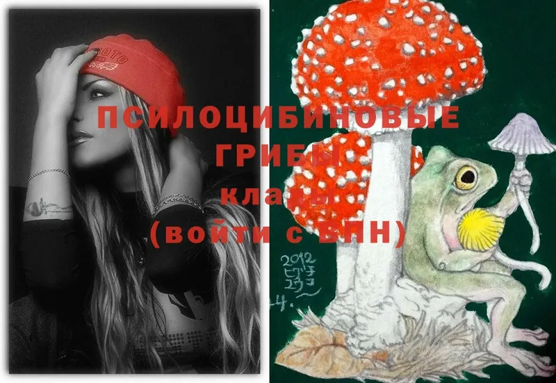 Псилоцибиновые грибы Magic Shrooms  купить  цена  Тобольск 